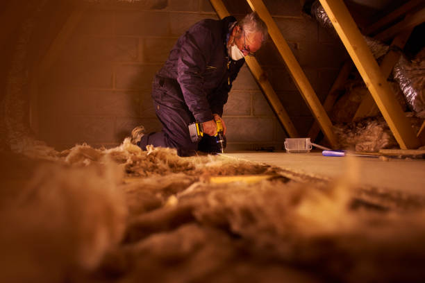 Reliable Mahomet, IL Insulation Installation & Removal Solutions